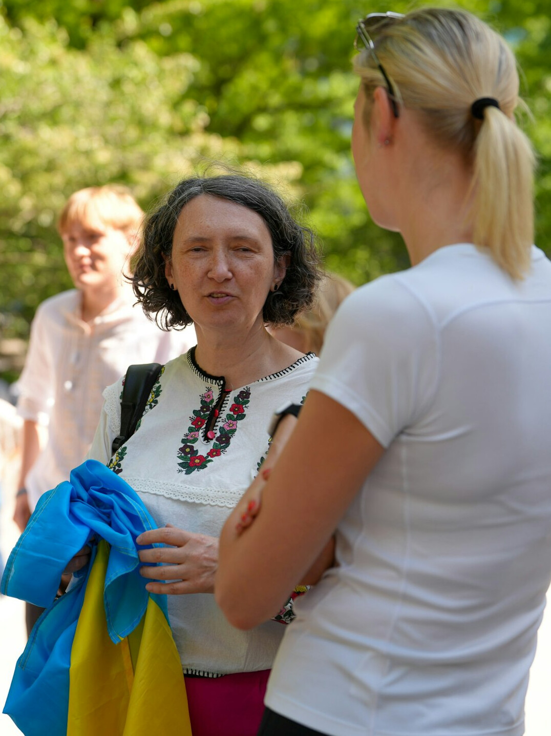 Portrait of a young Czech communication expert woman